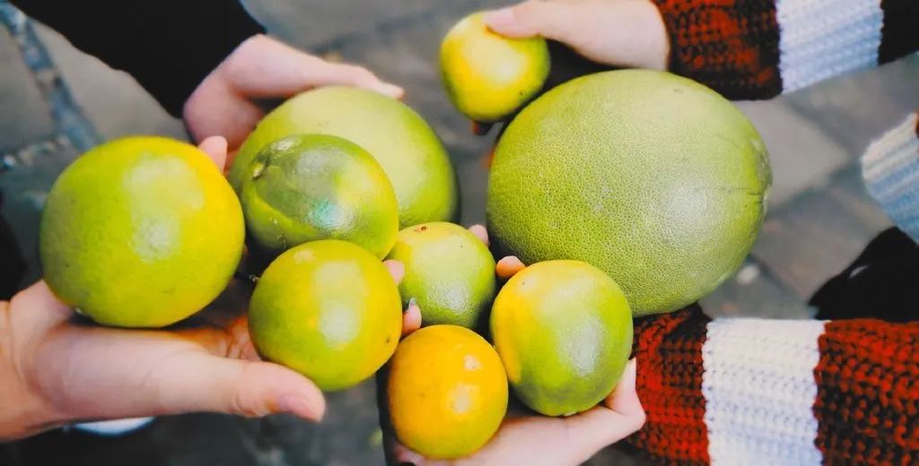 第1家国家4a级旅游区的大学博物馆,隐藏在各大校园里的有趣博物馆