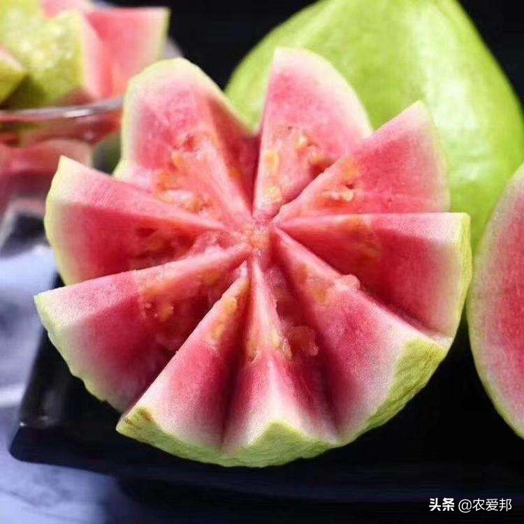 芭乐叶子是凉性的还是热性的,芭乐果是热性水果还是凉性水果