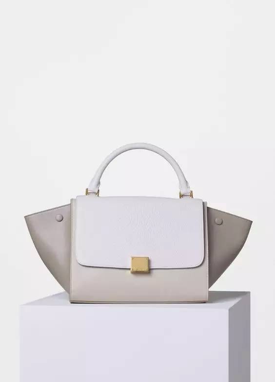 凹造型的包包图片大全,高级感褶皱包