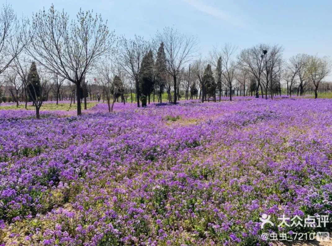 别再去挤故宫了！天津这些地界儿，足够你制霸五一朋友圈！