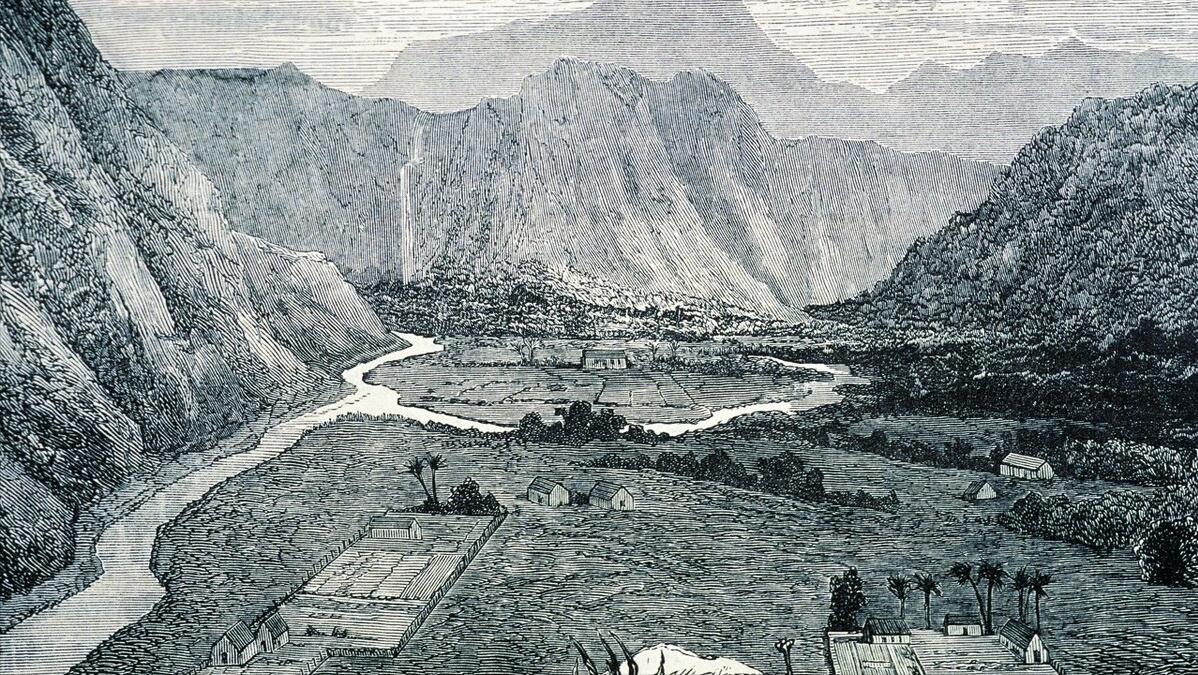 一只狗养了17年死前跟主人道别,老狗临死感人瞬间