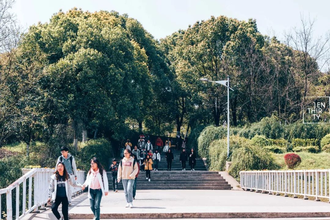 湖北经济学院为什么叫藏龙岛,湖北经济学院在江夏藏龙岛吗