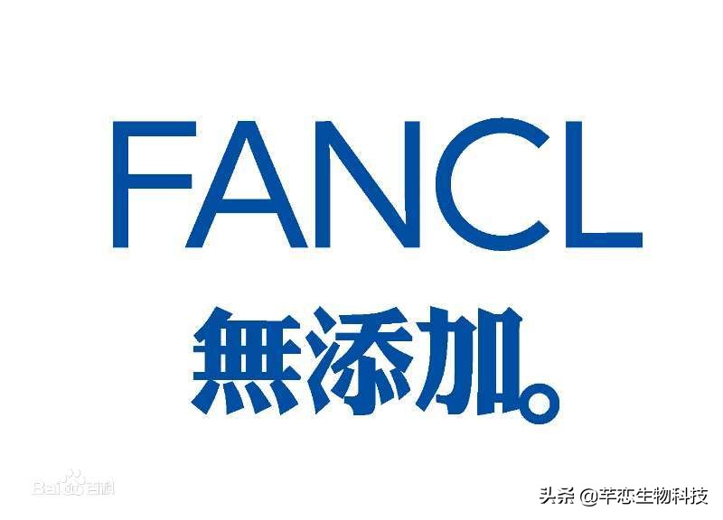 日本平价美妆品牌推荐女生,日本有哪些美妆品牌