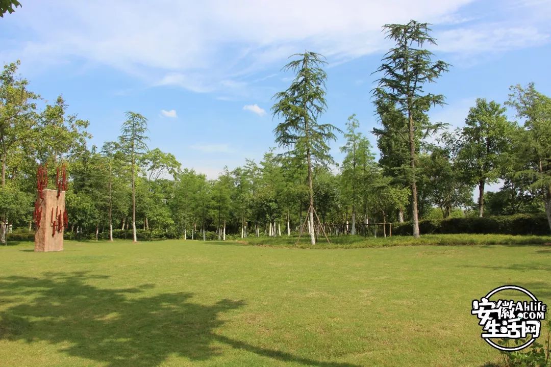 庐阳老城内藏着一处最大的综合性森林公园，人少景美，关键还免费
