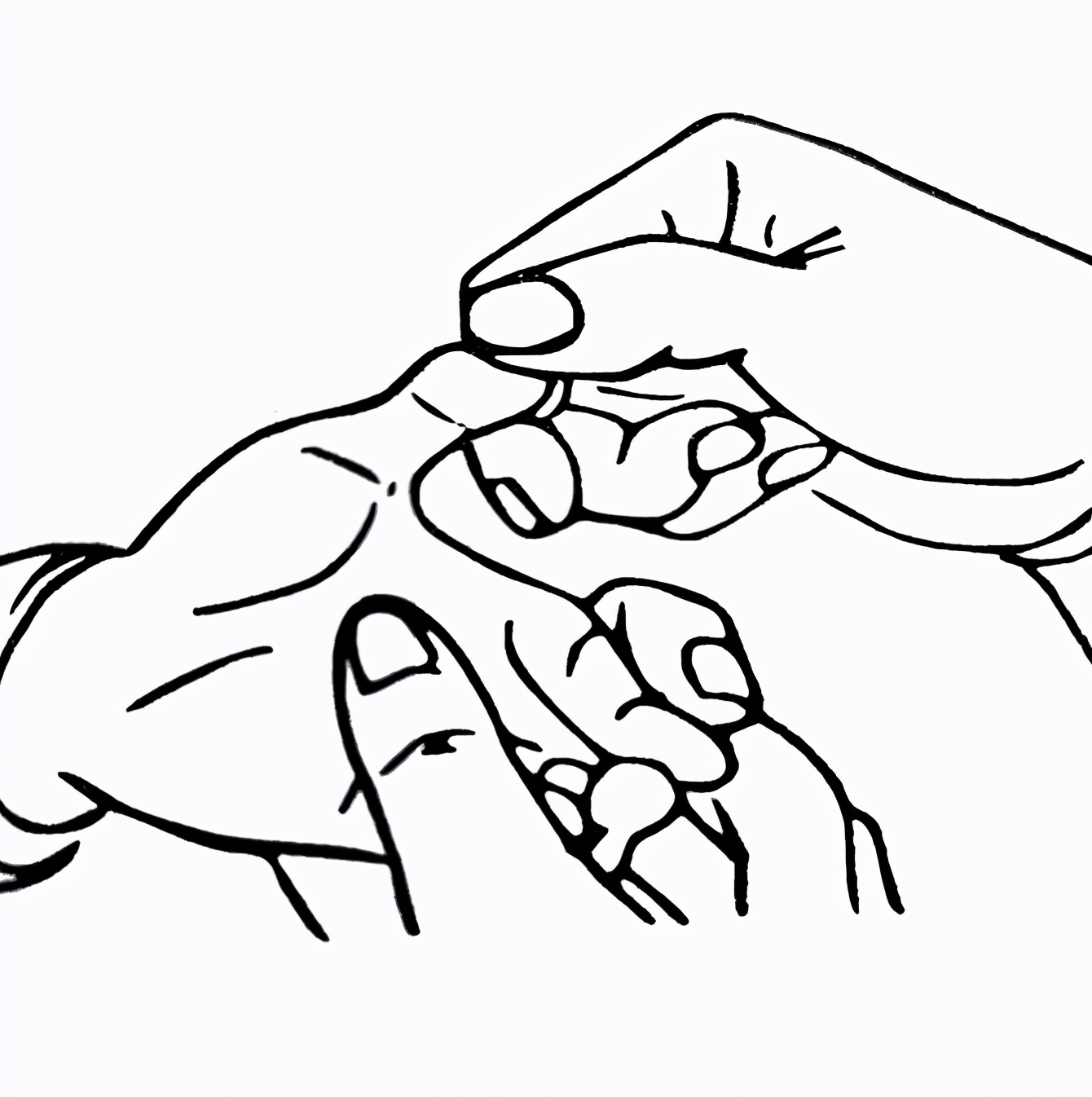 儿童过敏性鼻炎的治疗方法推拿,过敏性鼻炎咳嗽推拿哪些穴位