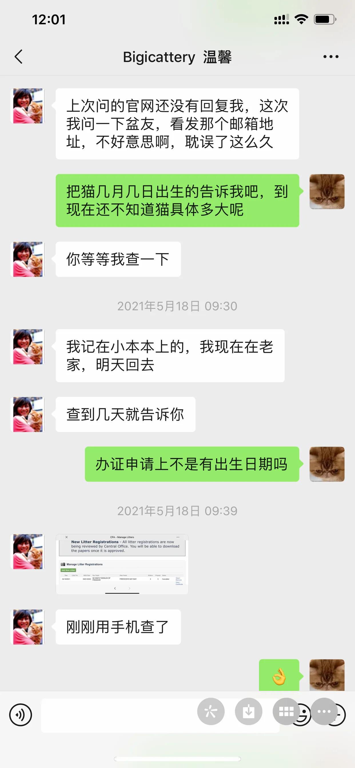 广州猫舍买英短猫,必读猫小屋家购猫流程