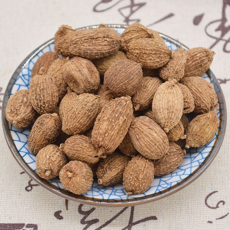 认识中药砂仁,砂仁的功效与作用