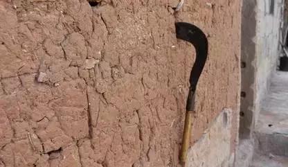 陕西蓝田山沟沟村庄,我的老家在蓝田