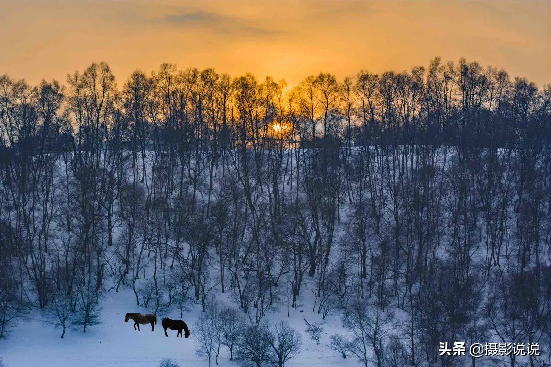 第39季醉美城市地标:维多利亚港、直沽桥、关山牧场、梅里雪山