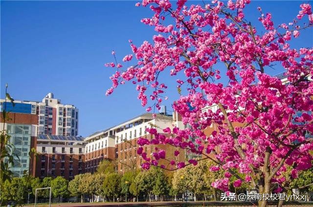 云南昆明西点文化学校位置,云南正规的西点烘焙学校