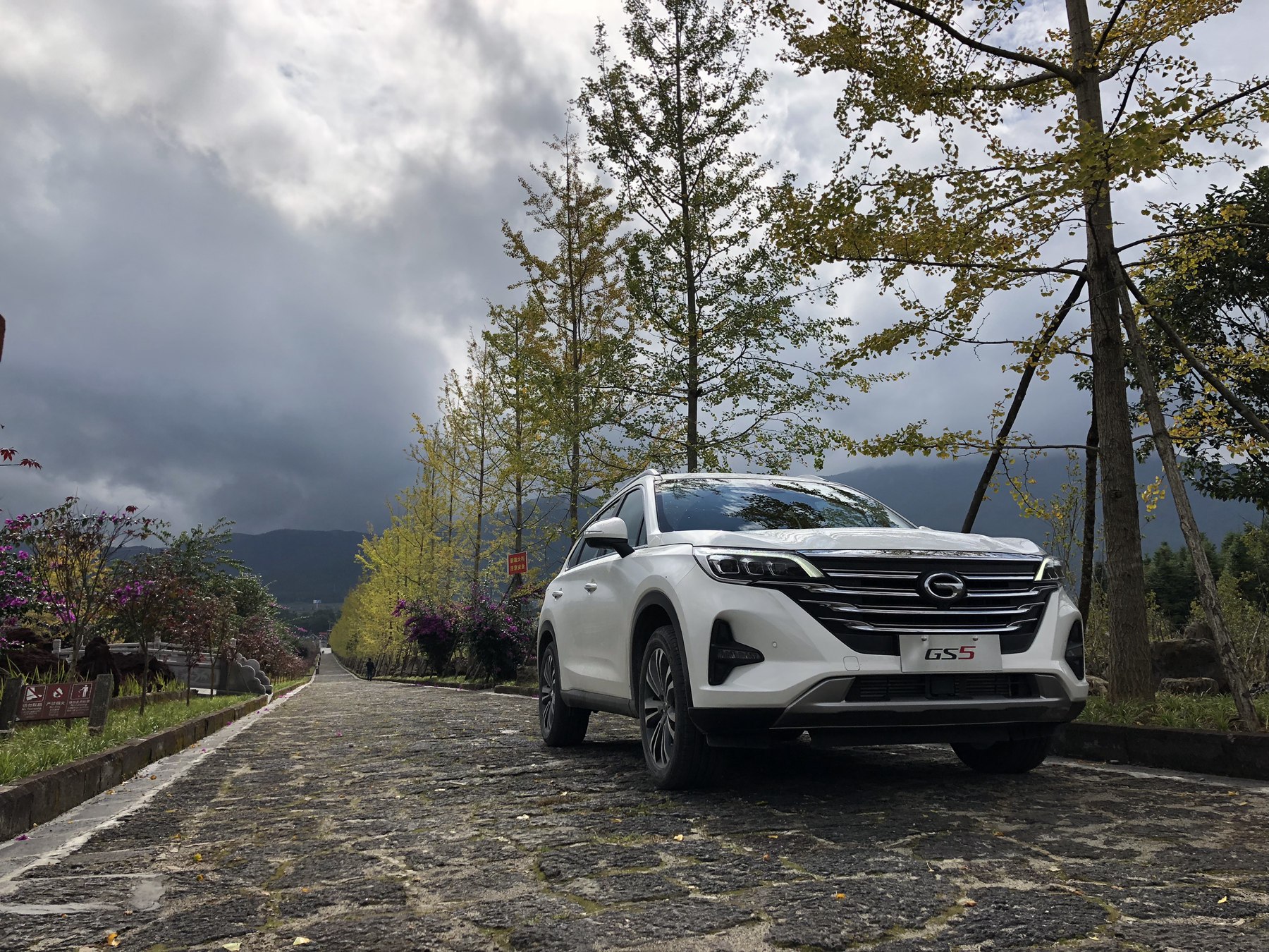 谁都说我们不一样现场版,很多人都说我们不一样抖音