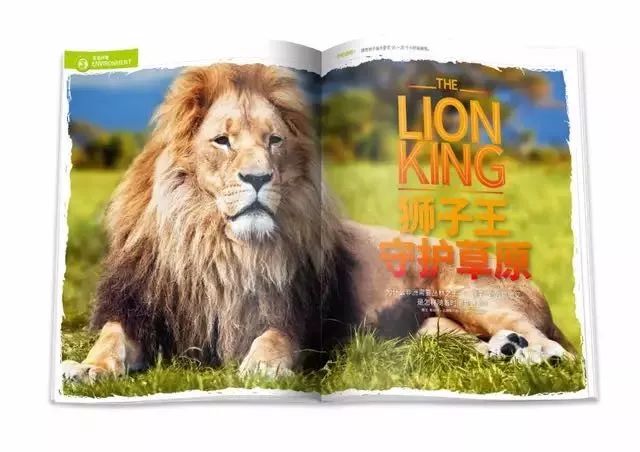 不知道给孩子订哪些杂志,看这篇