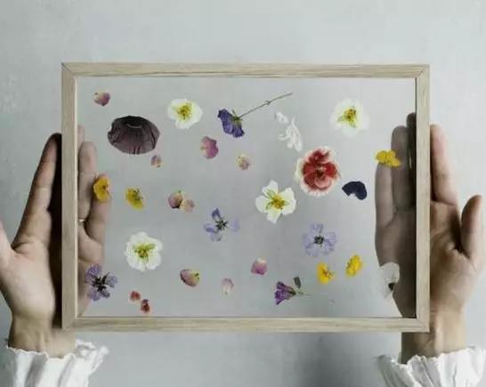 10个高颜值干花教程美爆了附教程,干花制作5朵花教程