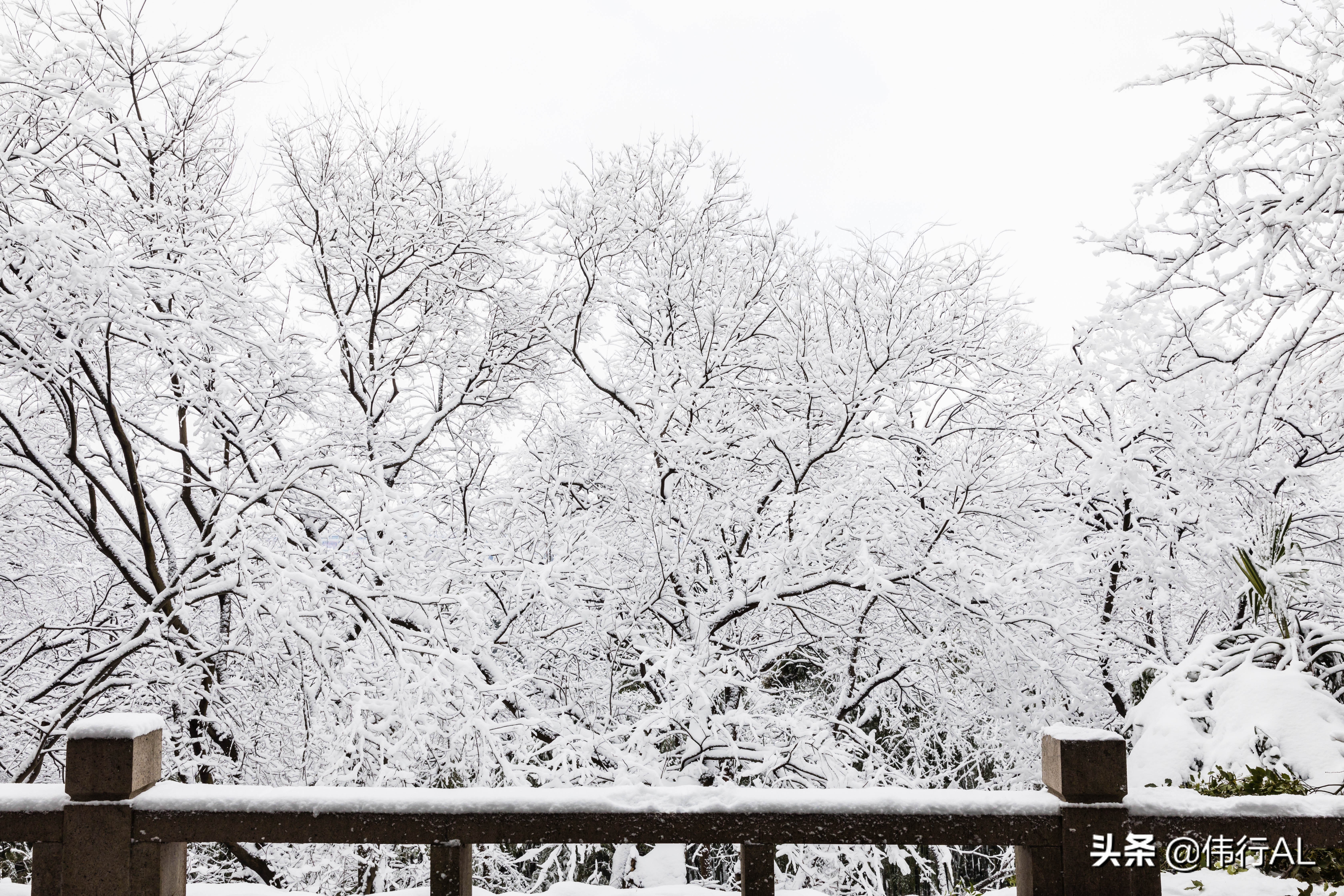 虎丘的十八景,吴中第一名胜虎丘纪念章