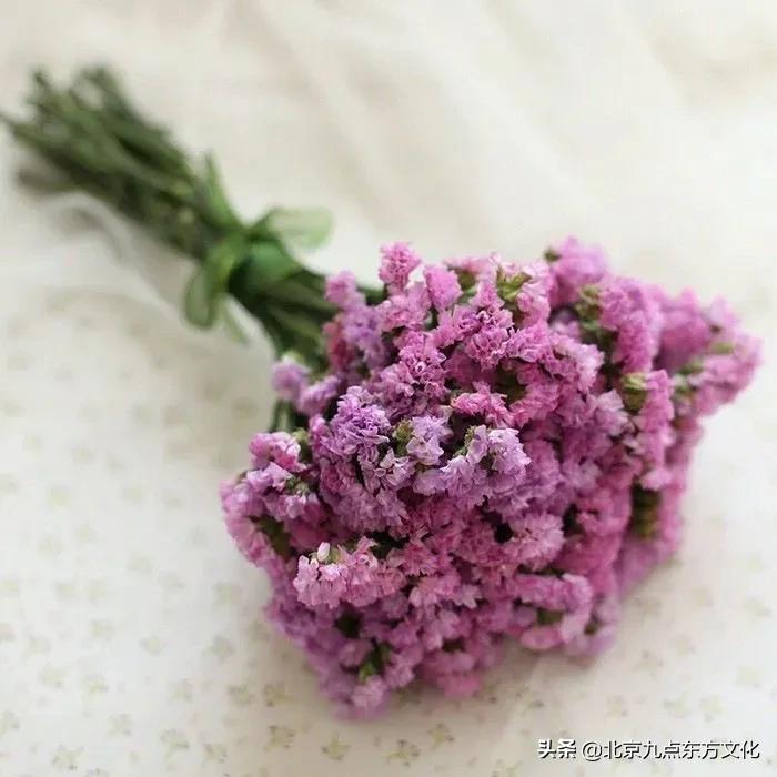 折花逢驿使寄与陇头人的意思,折花逢驿使寄与陇头人谁写的