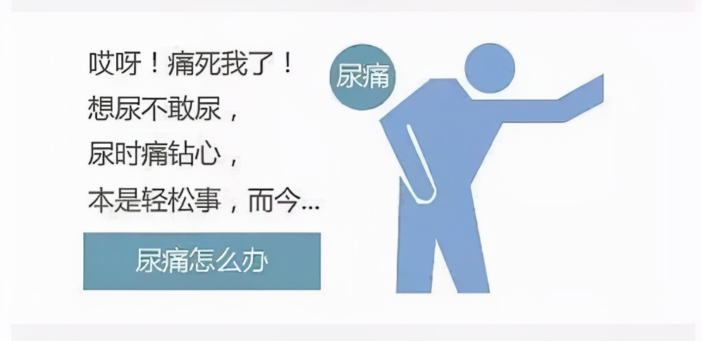 前列腺炎、尿频、尿急、尿痛？一个方子，利尿通淋，有效调理