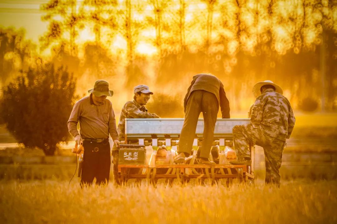 走向我们的小康生活微电影,走向我们的小康生活中国画