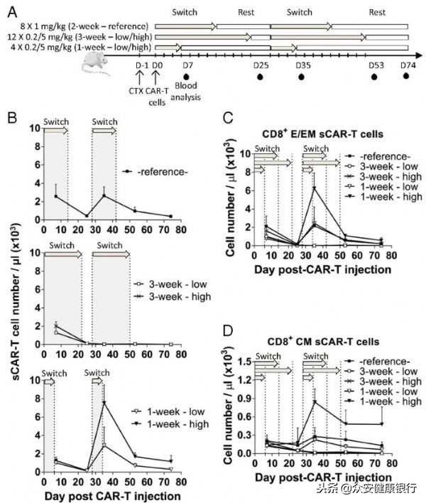 CAR-T疗法适用于哪些癌症,前景可观的car-t疗法