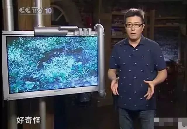 走近科学童年阴影,童年阴影走近科学停播了吗