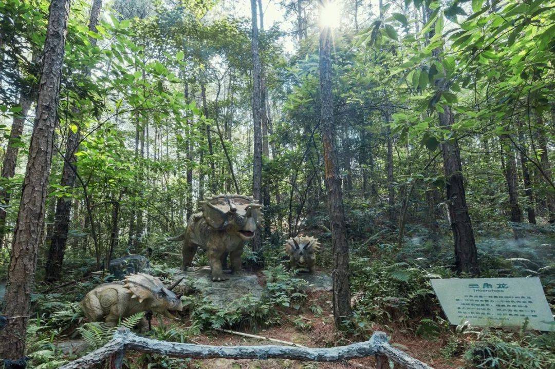 倒数狂欢夜,清远森波拉奇妙世界主题乐园住宿