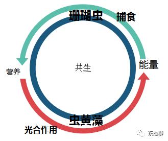 海缸np必须双零吗,海缸翻缸需要重新爆藻吗
