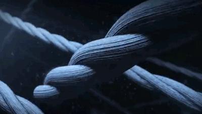 这条打*裤底**堪称裤子界小米,燃脂提臀还滋润身体,重点是自带磁疗