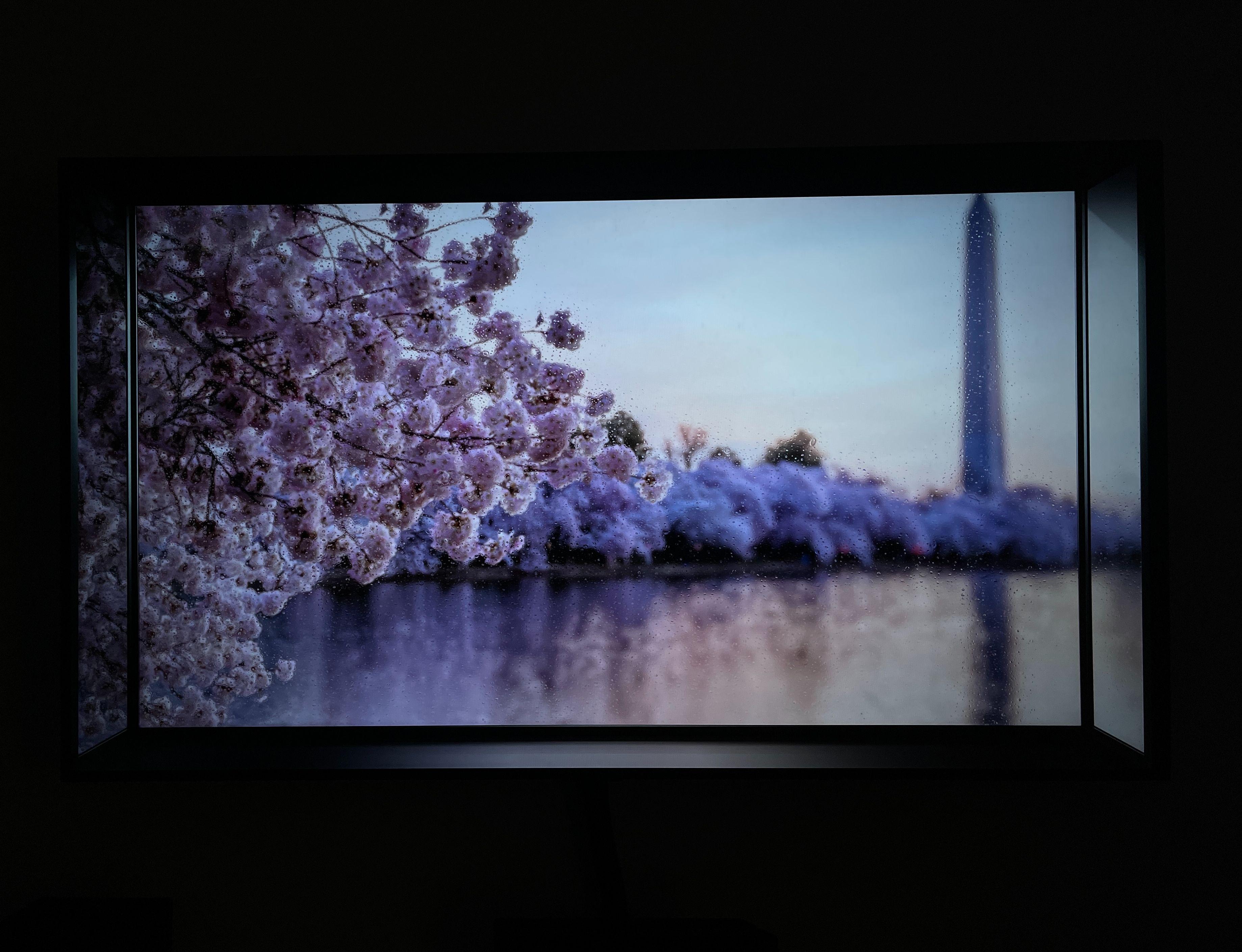 ps5鍜寈boxseriesx鍝釜鍊煎緱鍏ユ墜,ps5涓巟boxseriesx涔板摢涓ソ