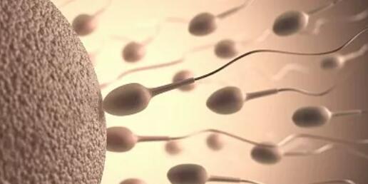 试管婴儿移植后剩余的胚胎怎么办,试管婴儿移植成功后会一直腹胀吗