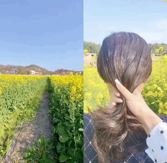 买东西不看价格是什么感受,买东西不看尺寸的后果文案