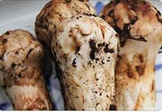 雅江松茸9月份还有卖吗,雅江松茸怎么购买