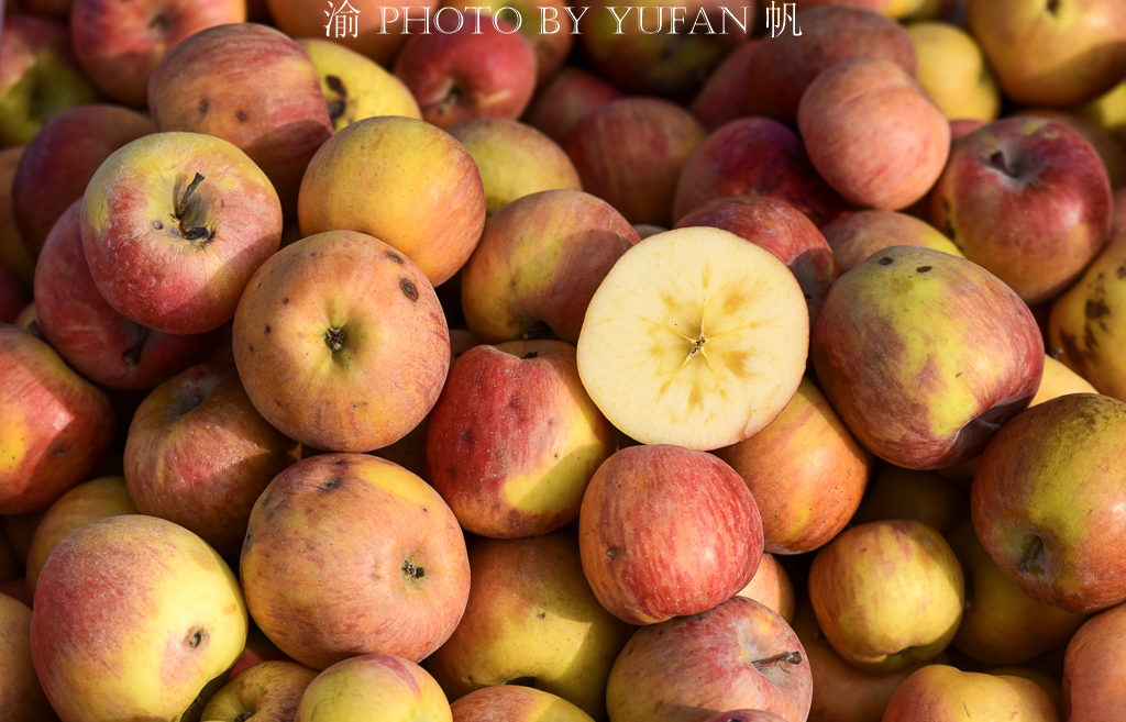 新巴扎新疆特产,新疆巴州博湖特产