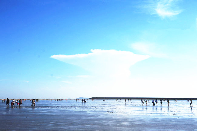 上海有好看的海边景点吗,上海好玩的海滩免费可以赶海