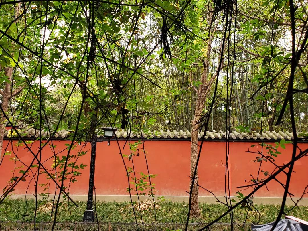 逮个成都人问成都在哪儿，没人回答得起