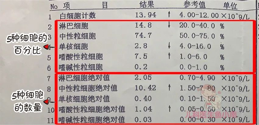 爸妈必学！3分钟教你看懂血常规，你也能成为半个儿科医生