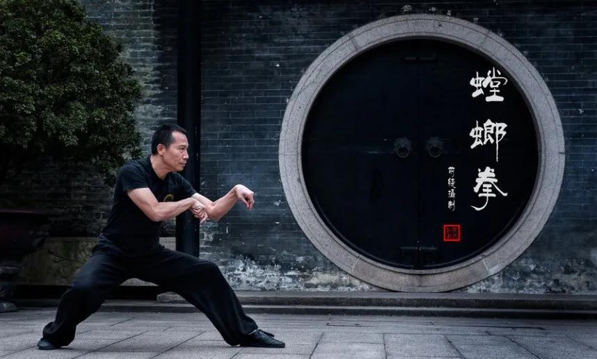 螳螂拳实战拳法,螳螂拳真实的拳法