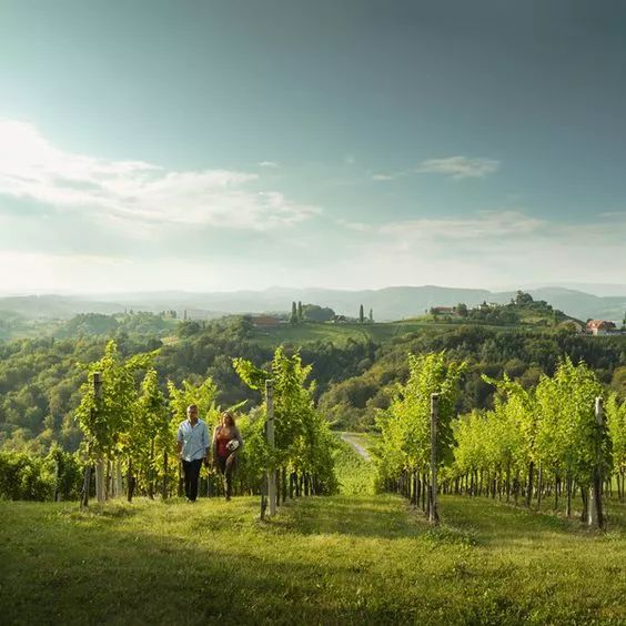 奥地利音乐之旅,奥地利山水旅游