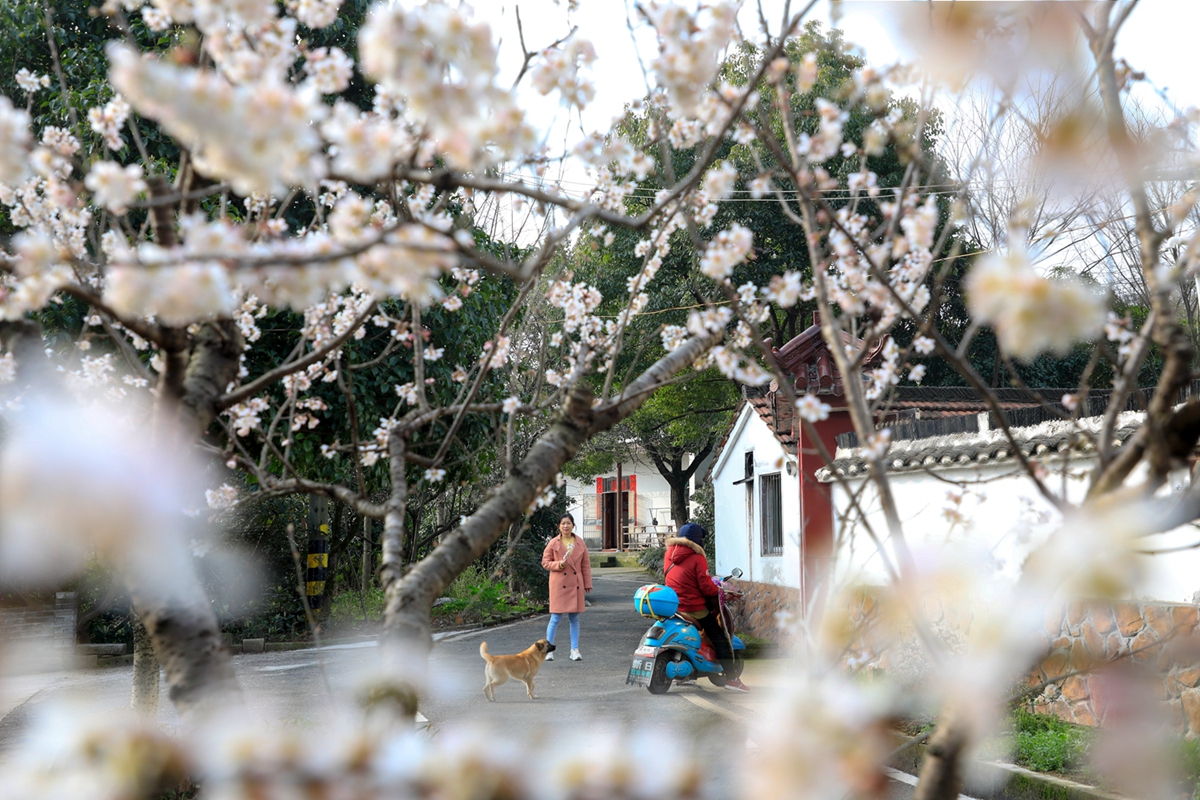 宜兴农村人均纯收入,小山村经济现状