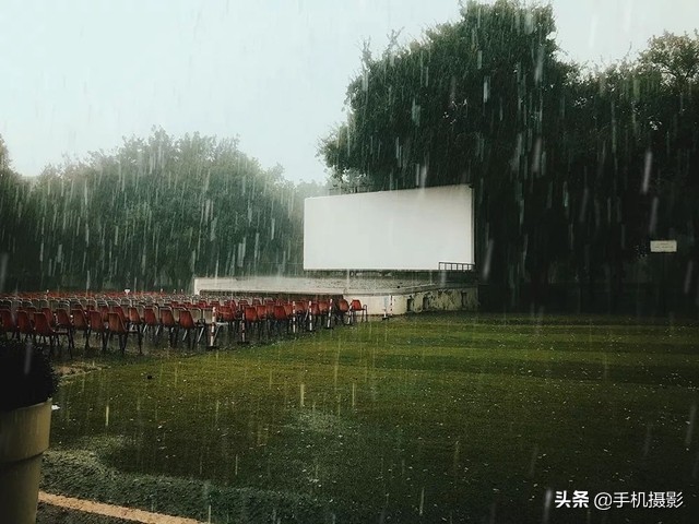 ippa摄影大赛年度总冠军,ippa摄影大赛2014