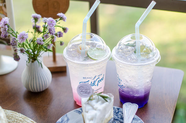 去清迈度假享受片刻的宁静,12月的清迈