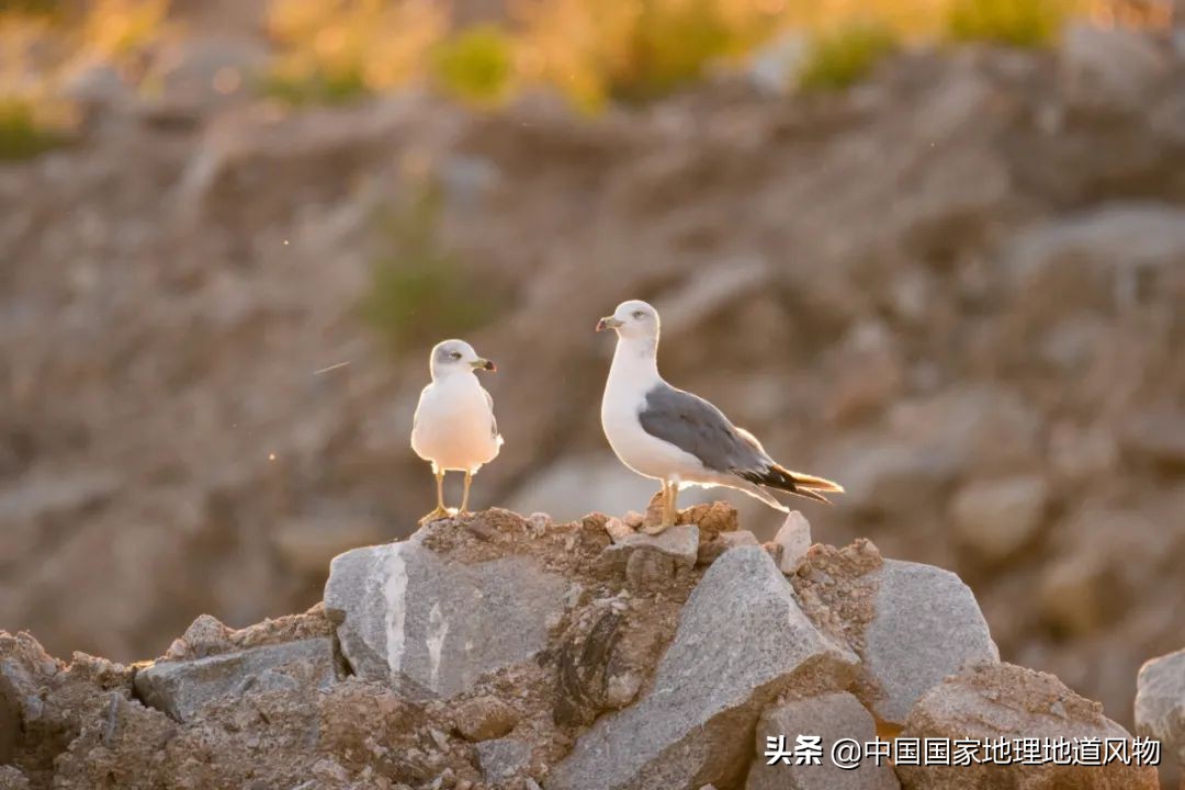 东北的门户图片,东北门户是什么地方