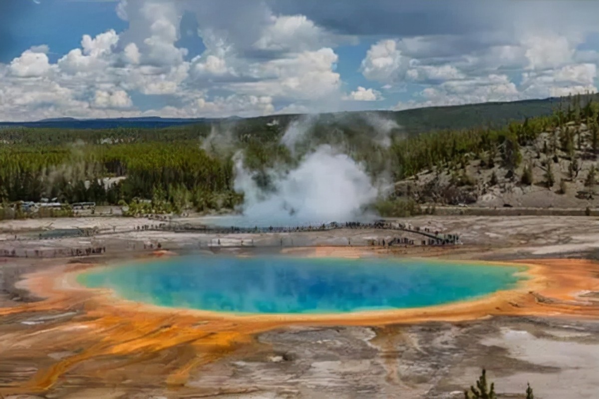 老虎咬死人事件真相,八达岭老虎咬游客事件