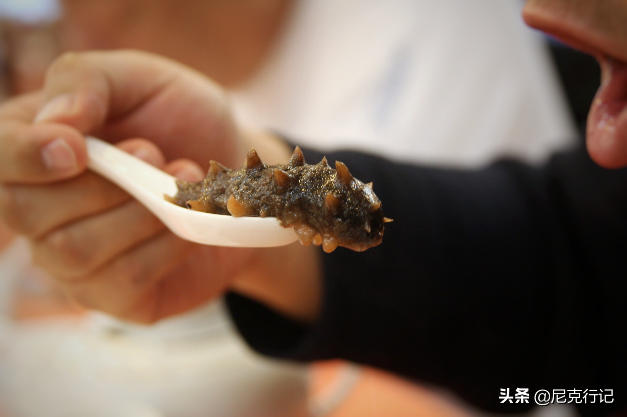 龙口桑岛位置,龙口最大的火山岛