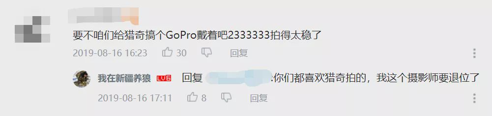 养狼disco：我在*疆新**，把狼养成了哈士奇