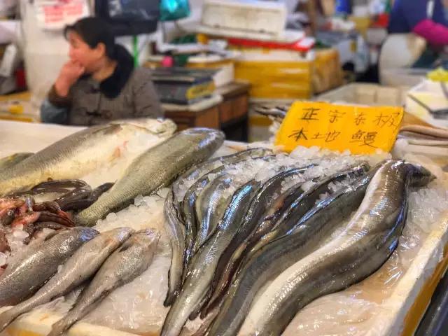 一年一度的开渔季,开渔季味蕾狂欢之旅