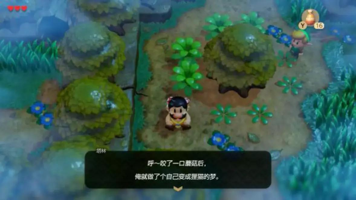 塞尔达织梦岛大鹫塔抓到就丢下去,塞尔达传说织梦岛进入游戏没反应