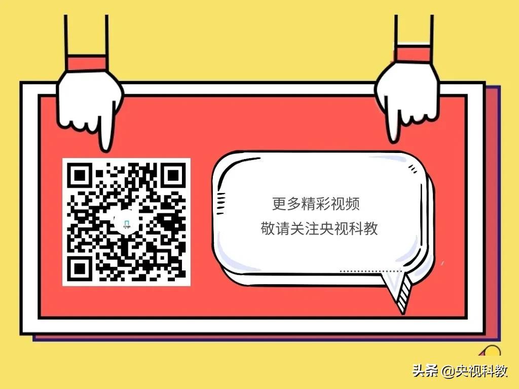 宋朝人把足球画到枕头上，是因为做梦也要踢吗？