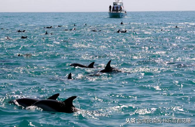 13天自驾新西兰，这个不缺蓝天与绿草的国度无比的热情富有生命力