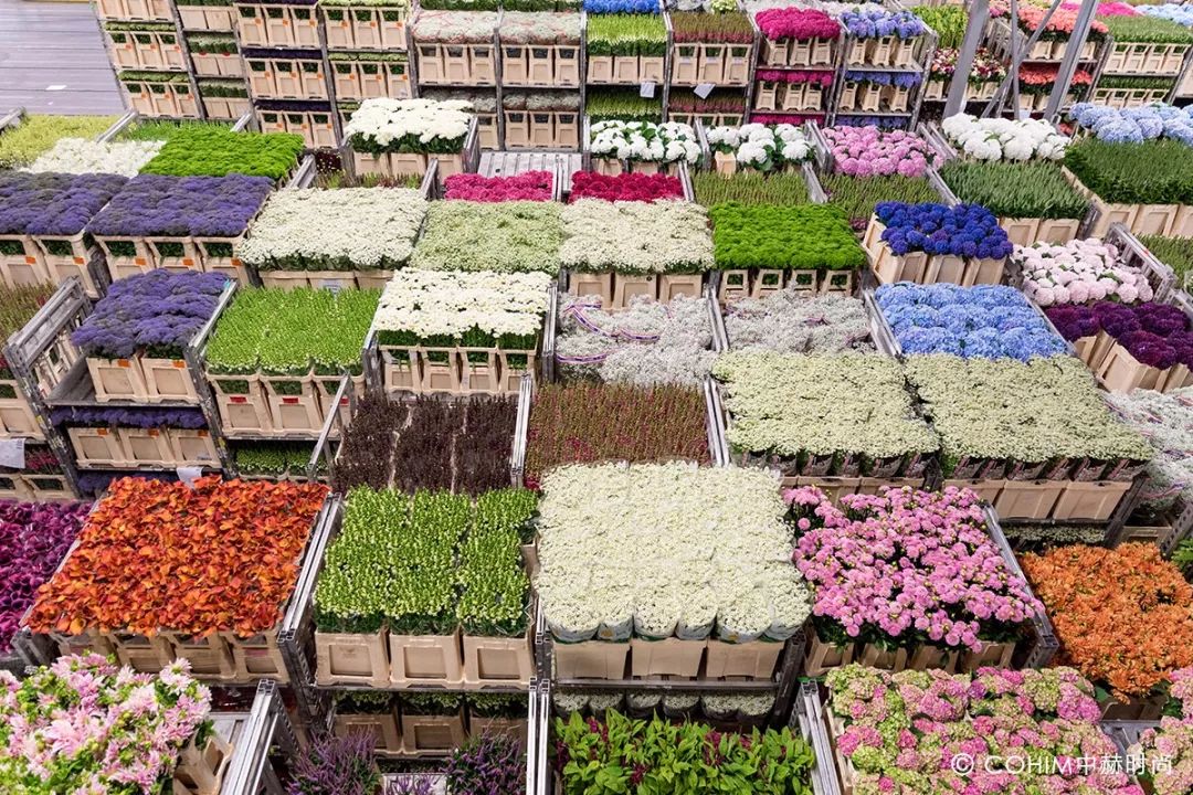 花艺行业市场前景,花艺行业赛道