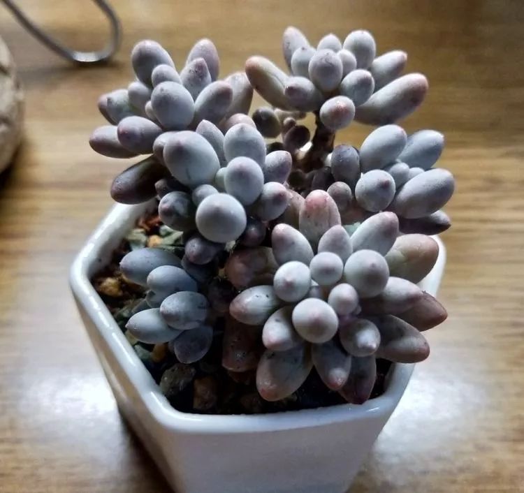 大四老学姐的寝室生活,养肉路上的真实感受