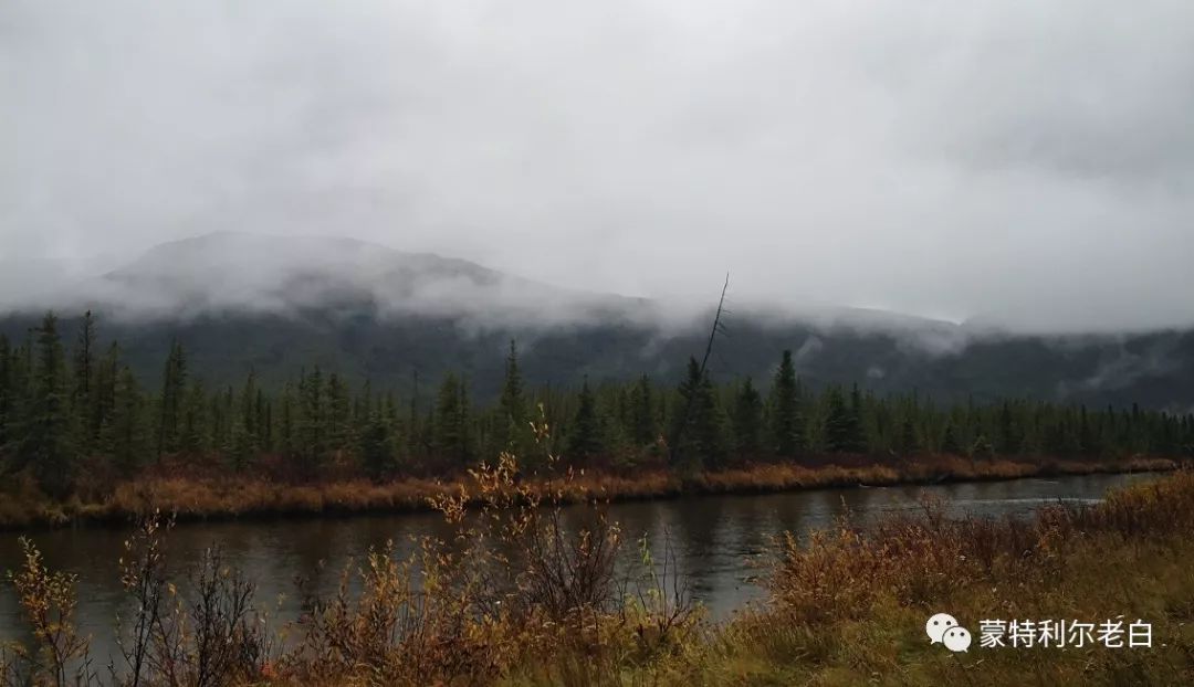 跟着老白行走加拿大，育空Watson Lake、BC省Northern Rockies